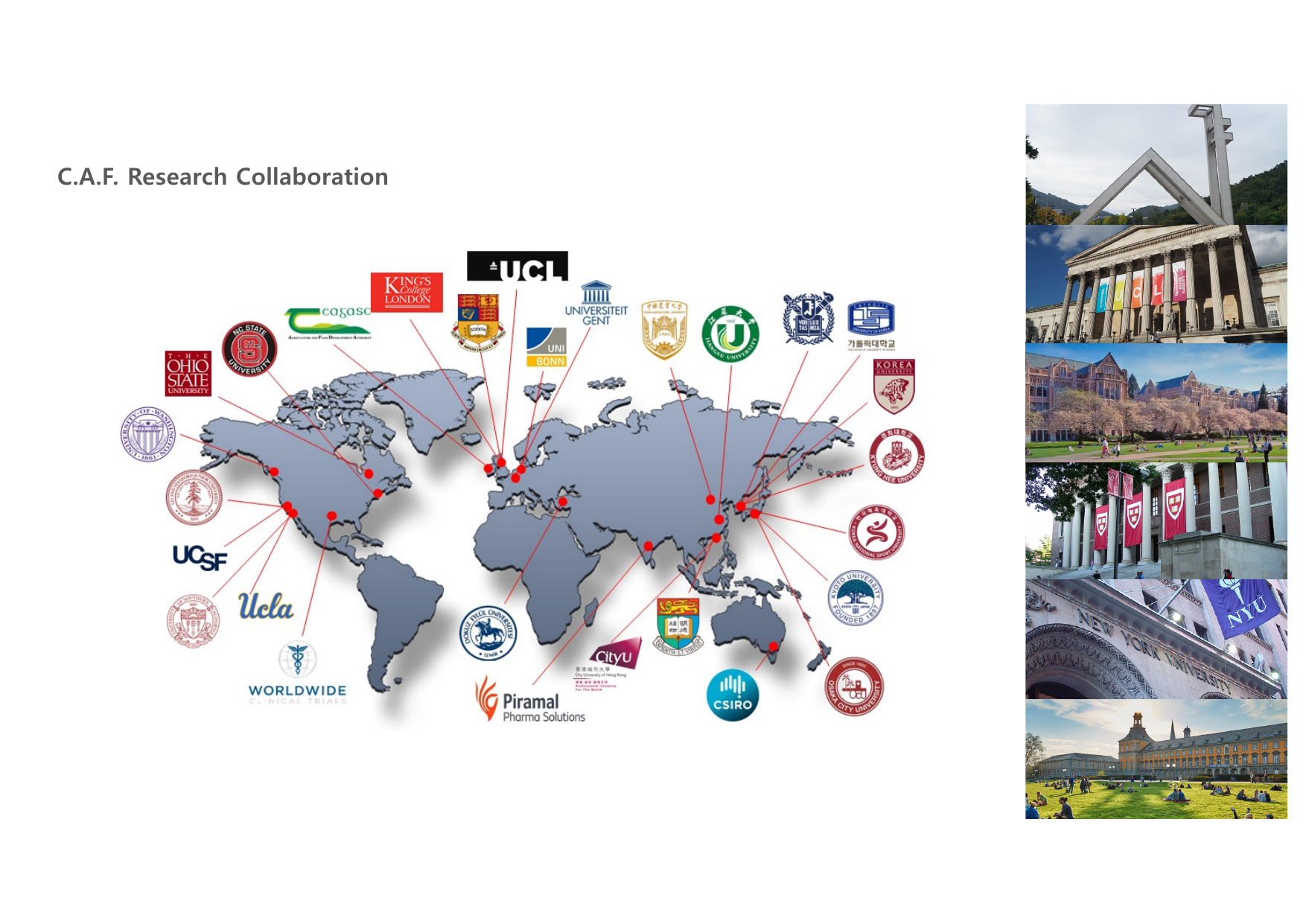 JP3E K-Longevity page 8